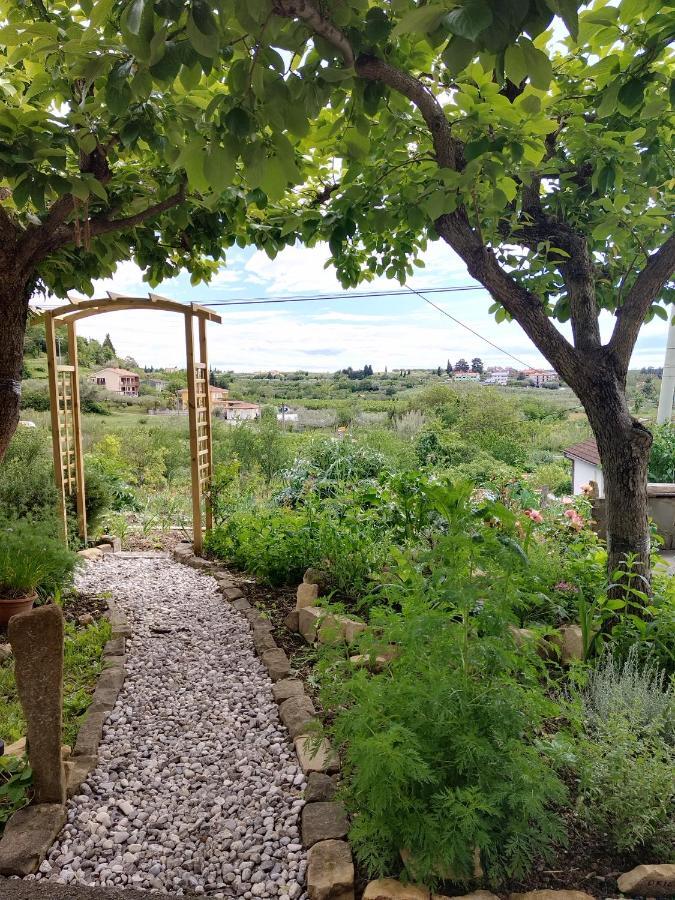 Apartma Salvia-Guest House Lucija Bagian luar foto